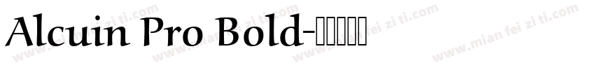Alcuin Pro Bold字体转换